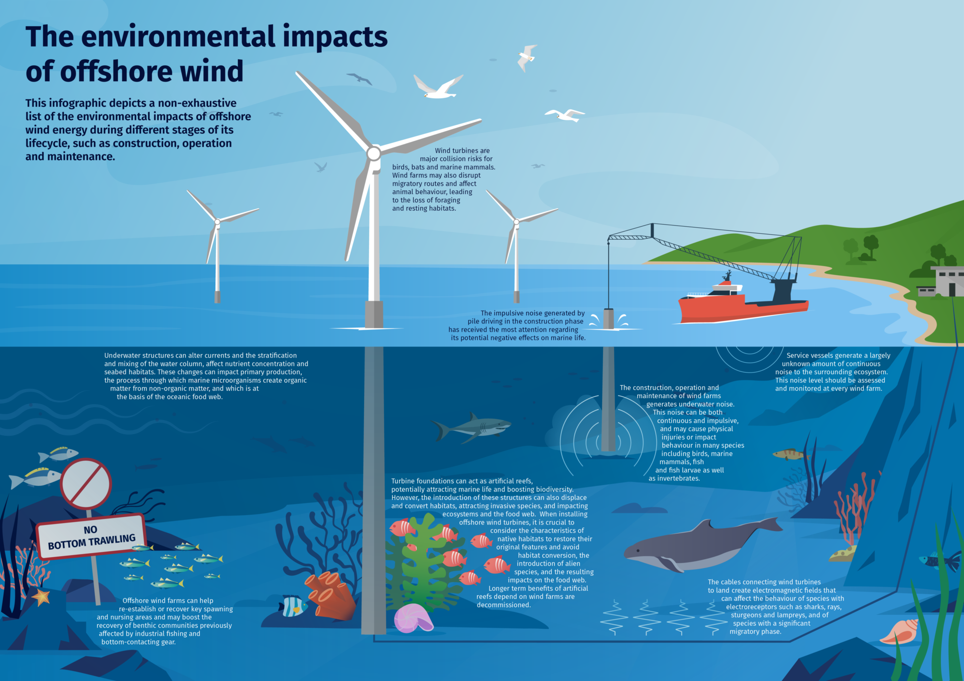 The True Environmental Impact Of Wind Energy In 2026