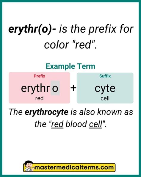 Erythro Medical Term