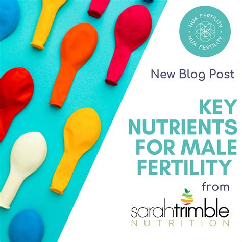 Boost Your Reproductive Health: Essential Nutrients For Male Fertility