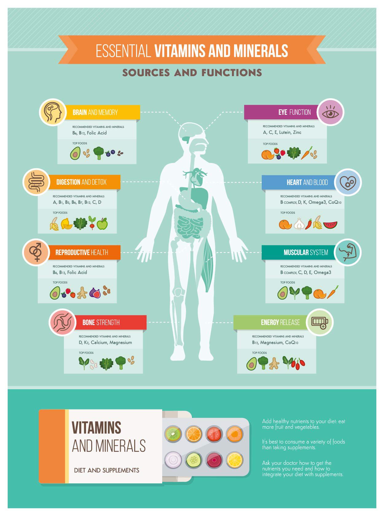 The Complete Guide To Essential Nutrients Required For Human Body