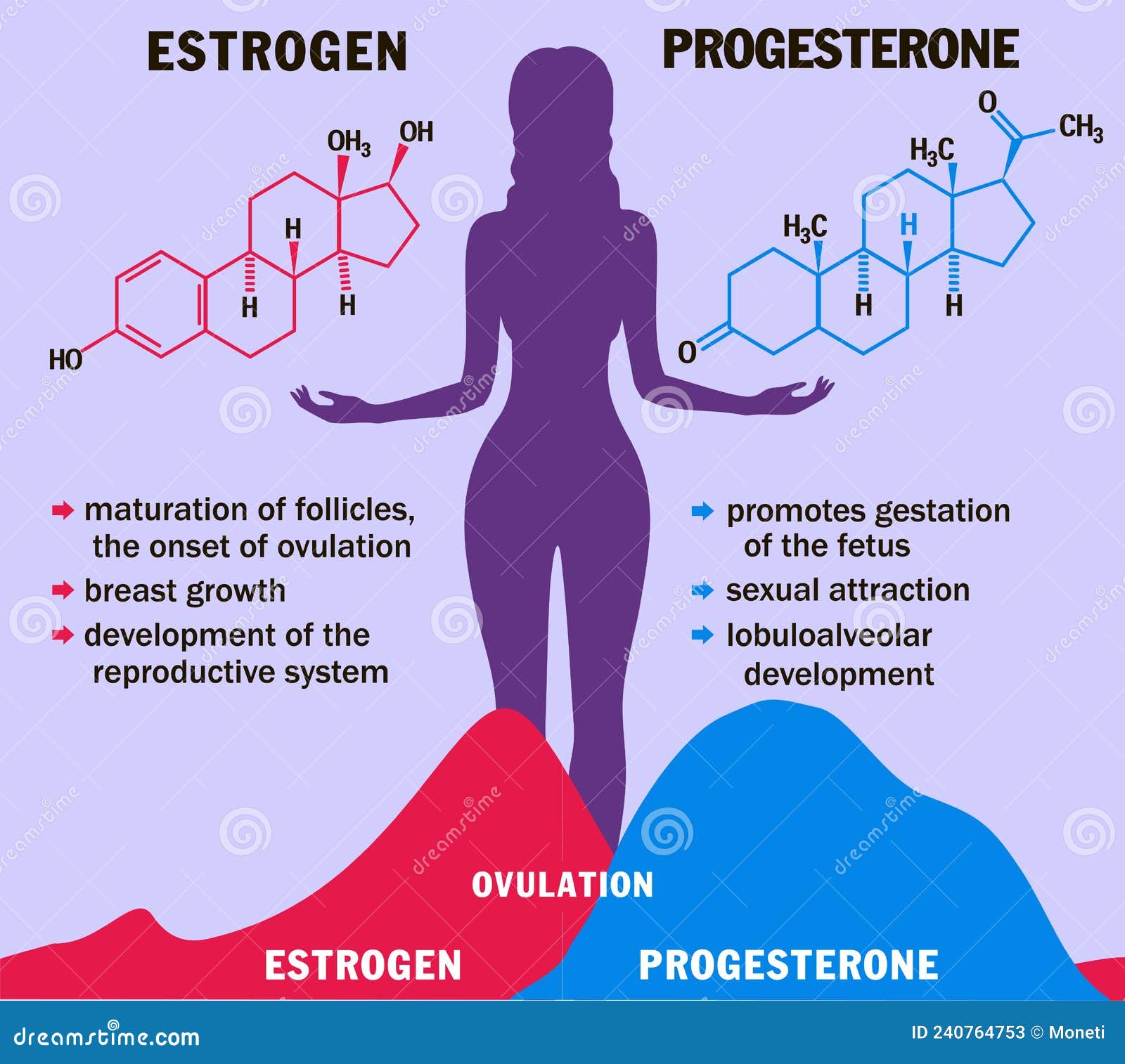Estrogen Patch Placement