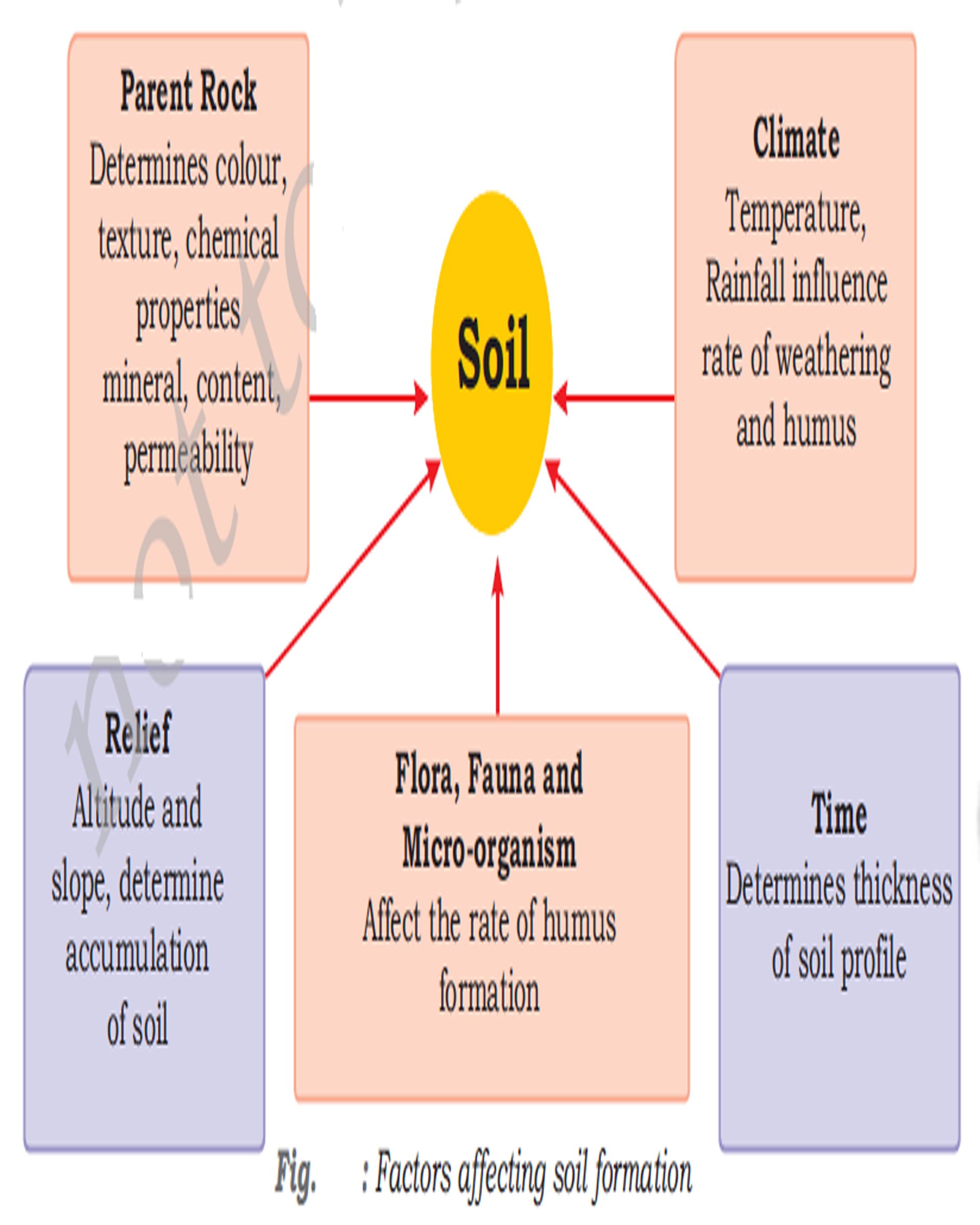 How Climate Affects Soil Formation: A Naturedriven Process