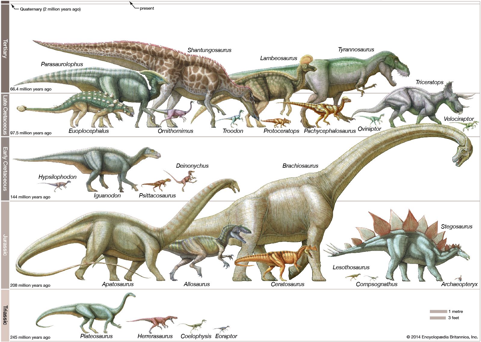 Extinction Of Flora And Fauna In Tamil