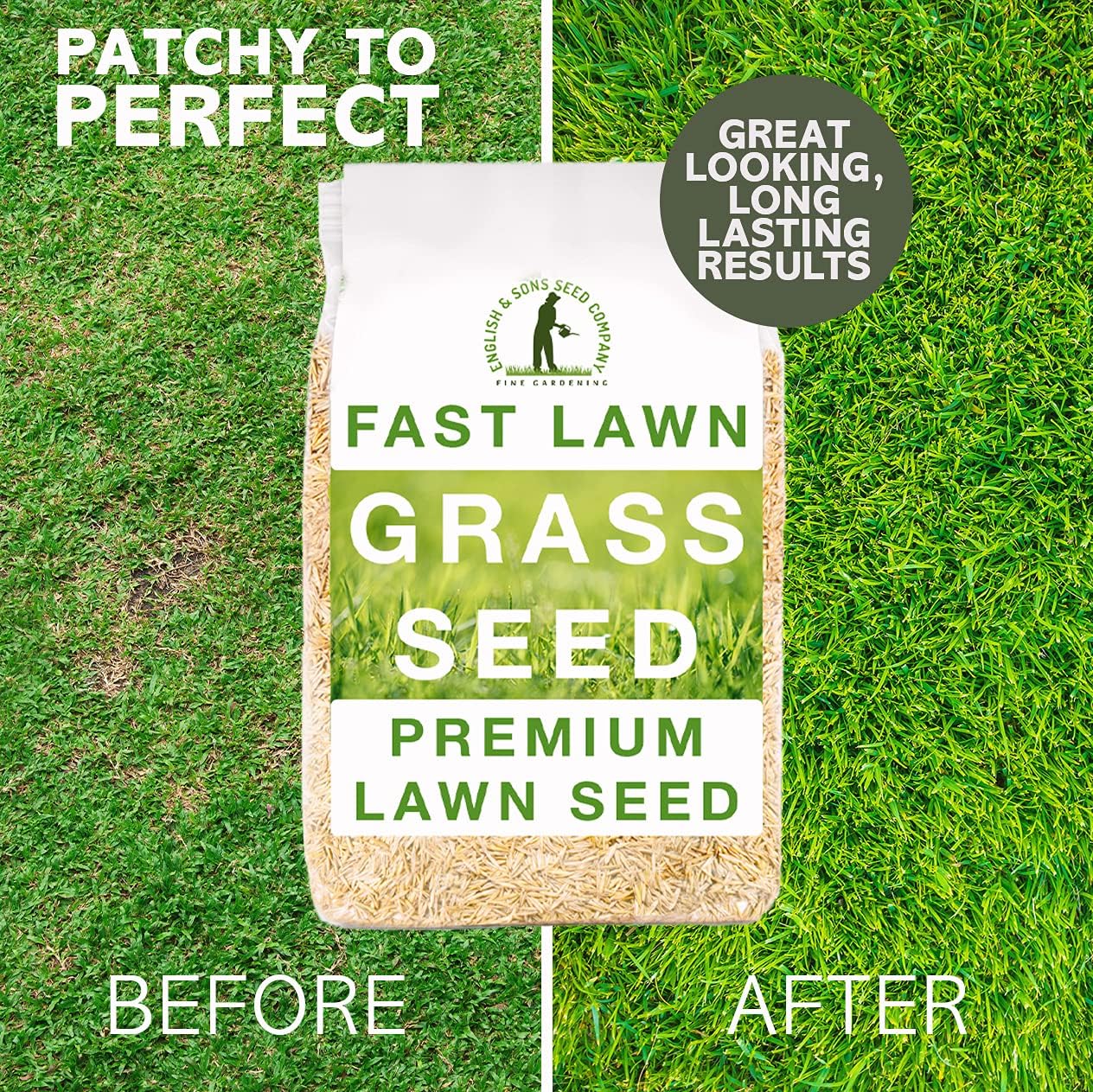 Get A Lush Lawn Fast: The Fastest Growing Grass Seed Options
