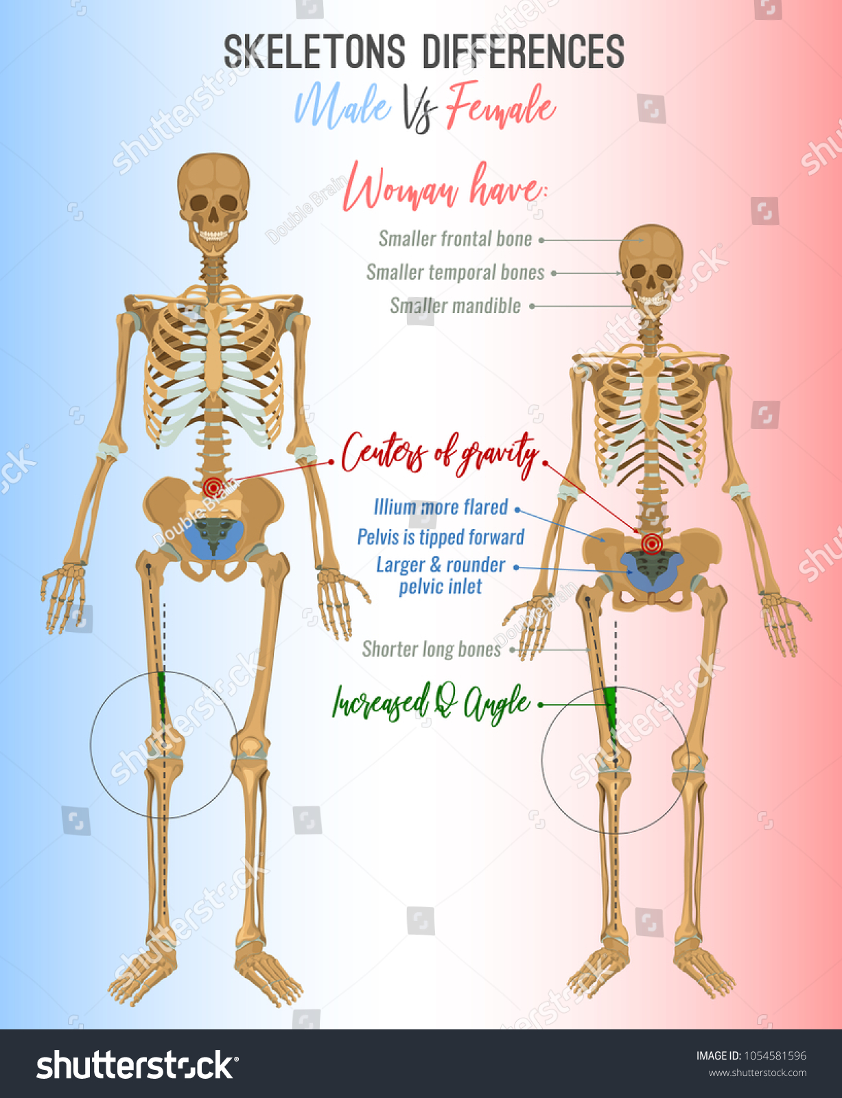 Female Lower Back Pain