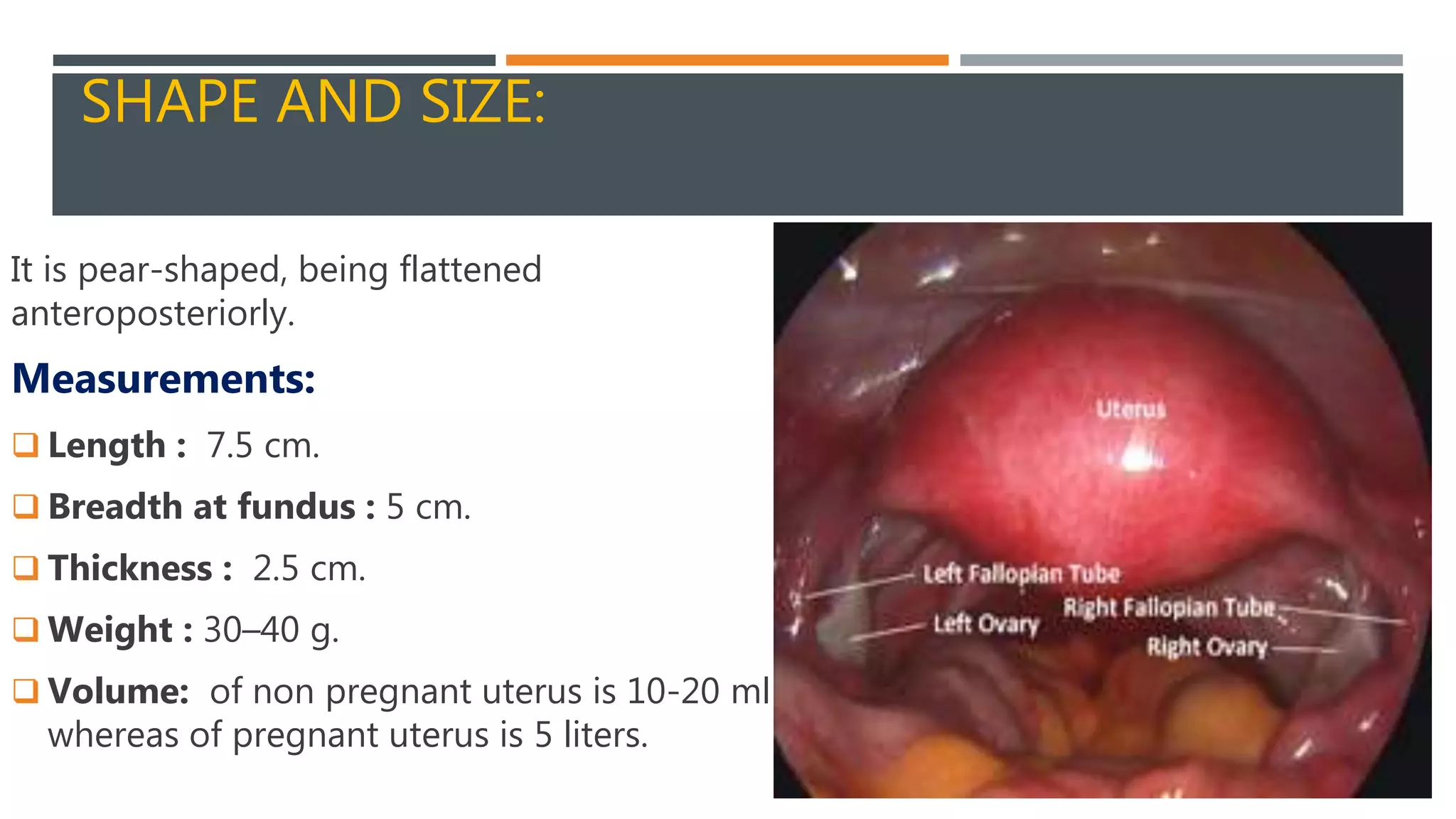 Fibroid Cancer Symptoms