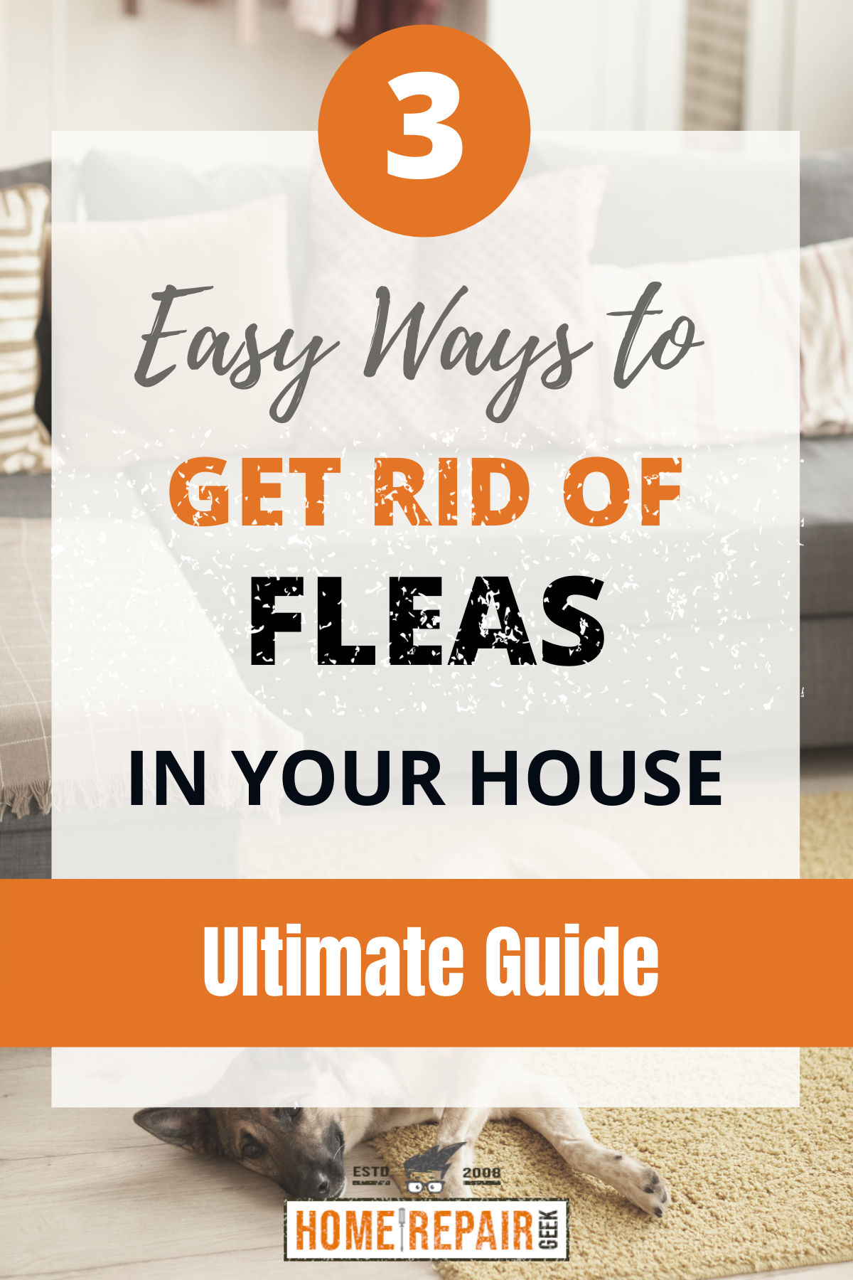 Flea Bites Vs Mosquito Bites