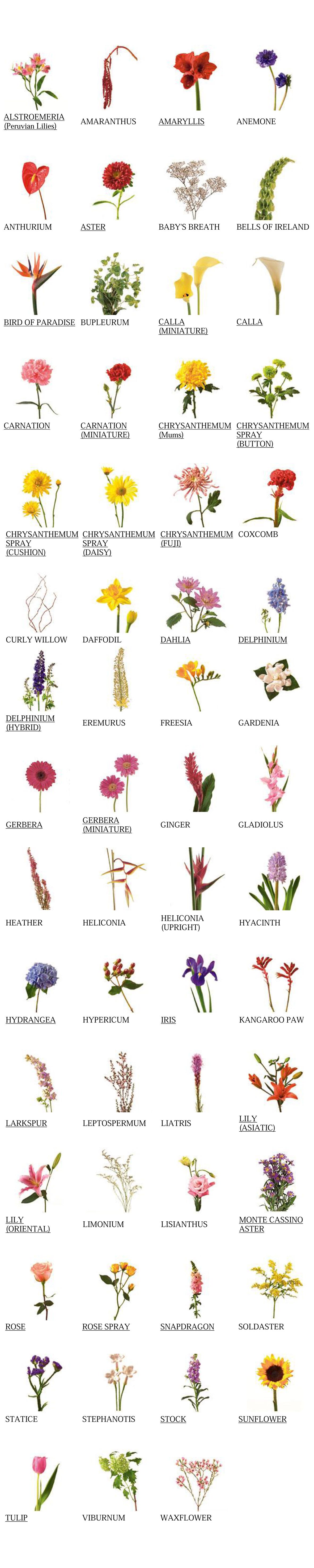 Florist Jobs Near Me