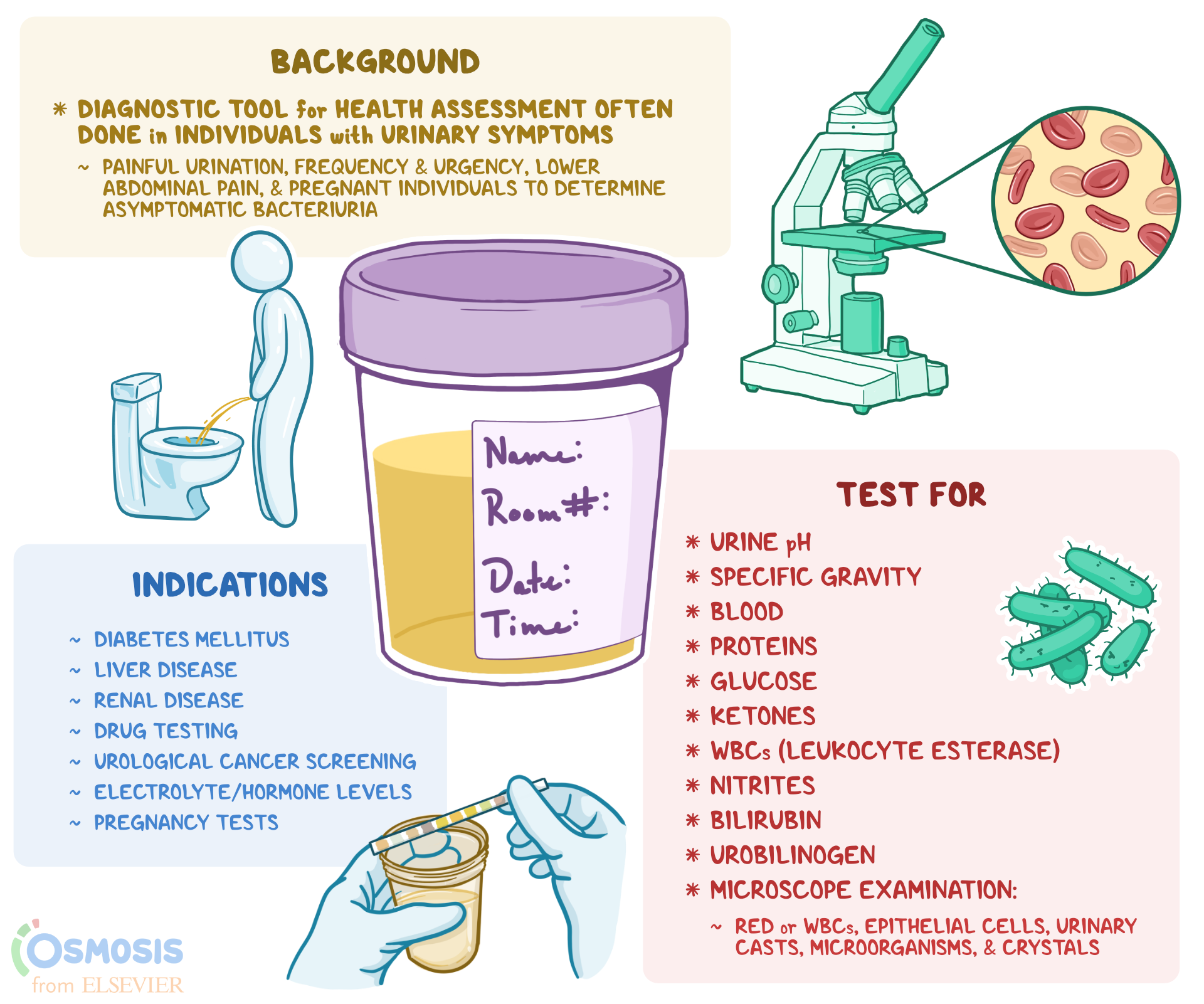Foamy Stool Diarrhea