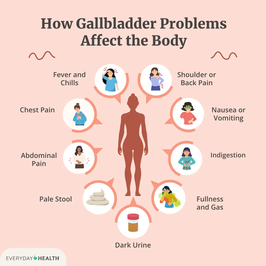 Gallbladder What Does It Do