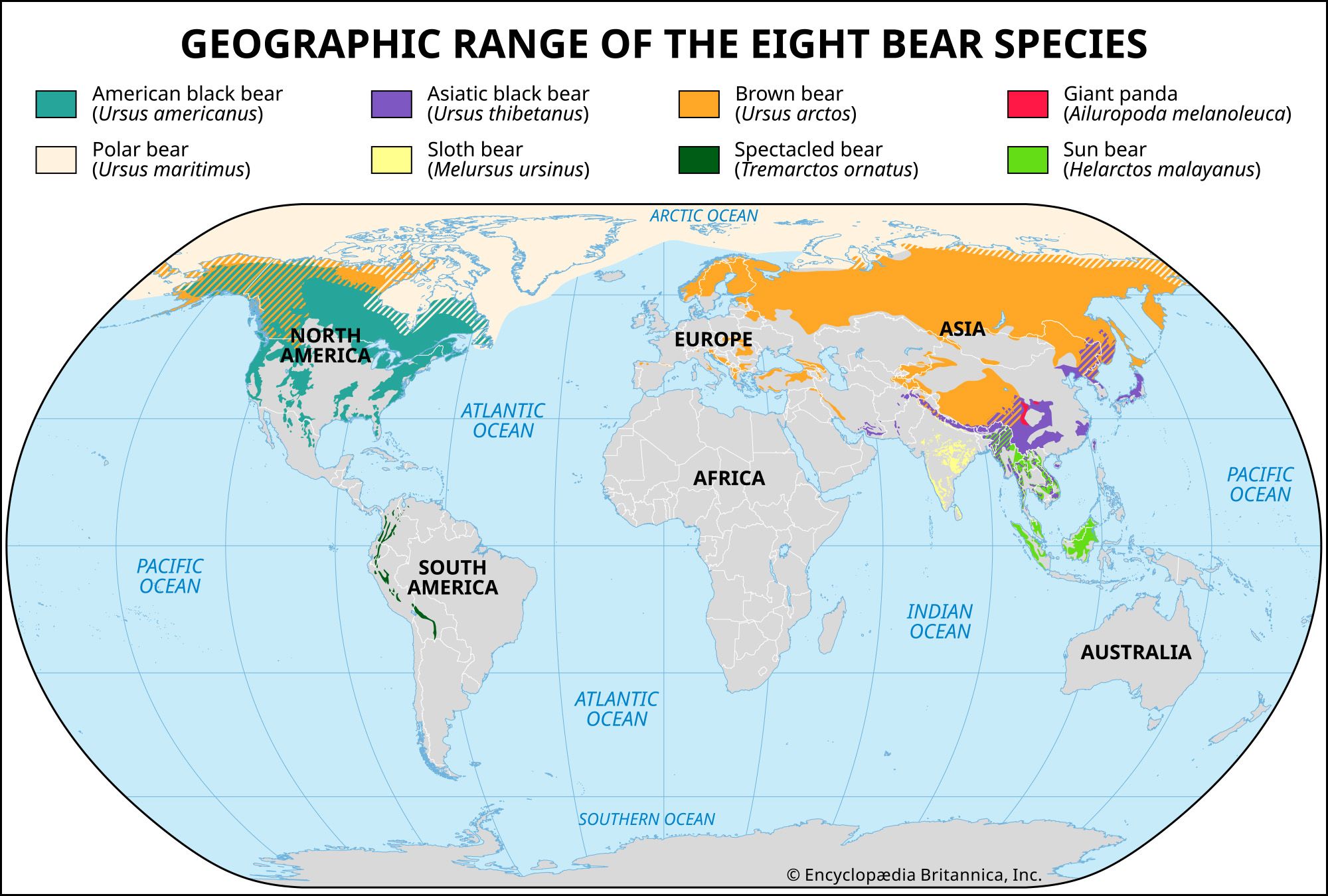Mapping The Geographic Distribution Of Living Species