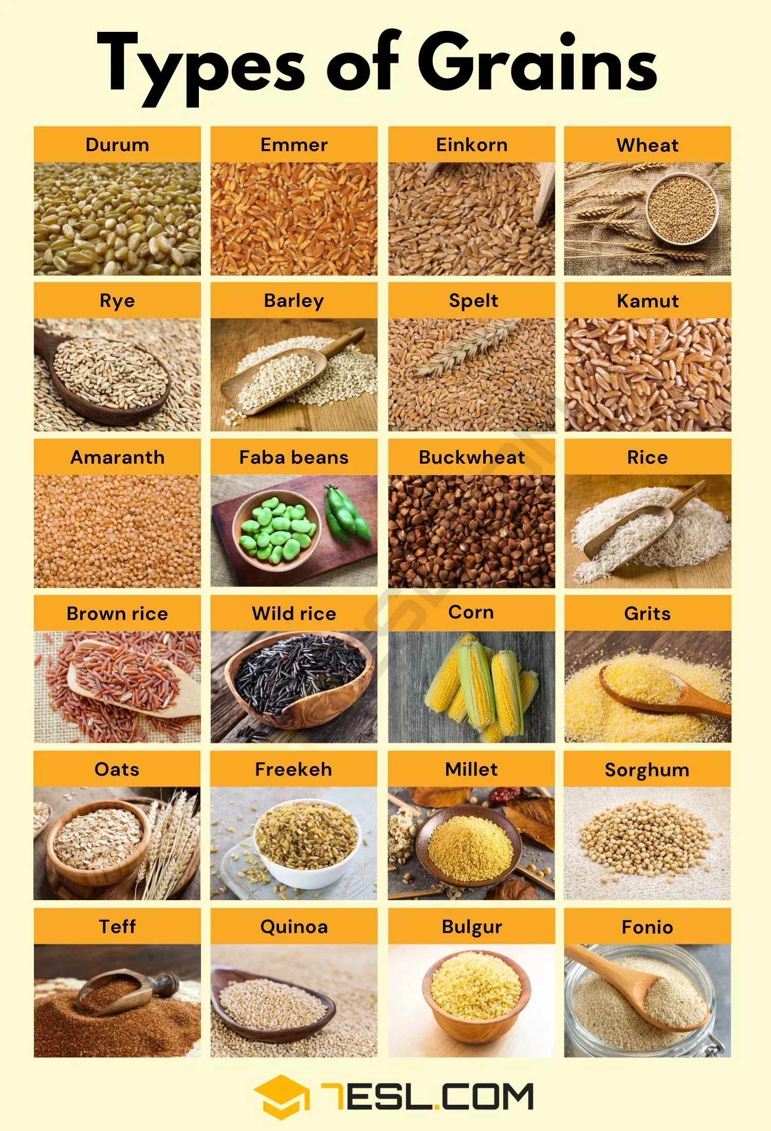 The Essential Guide To Good Sources Of Grains For Daily Energy