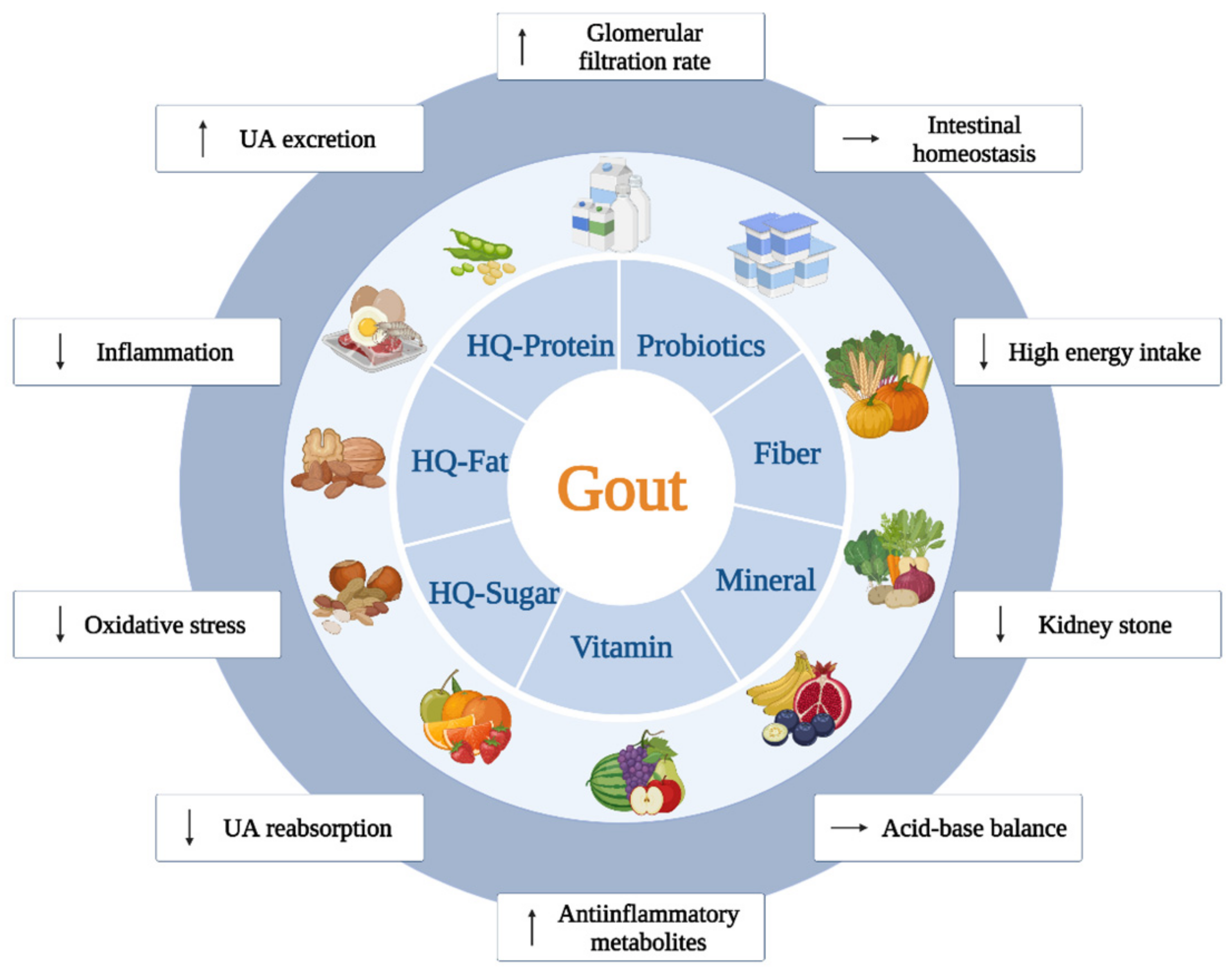 Gout In Spanish