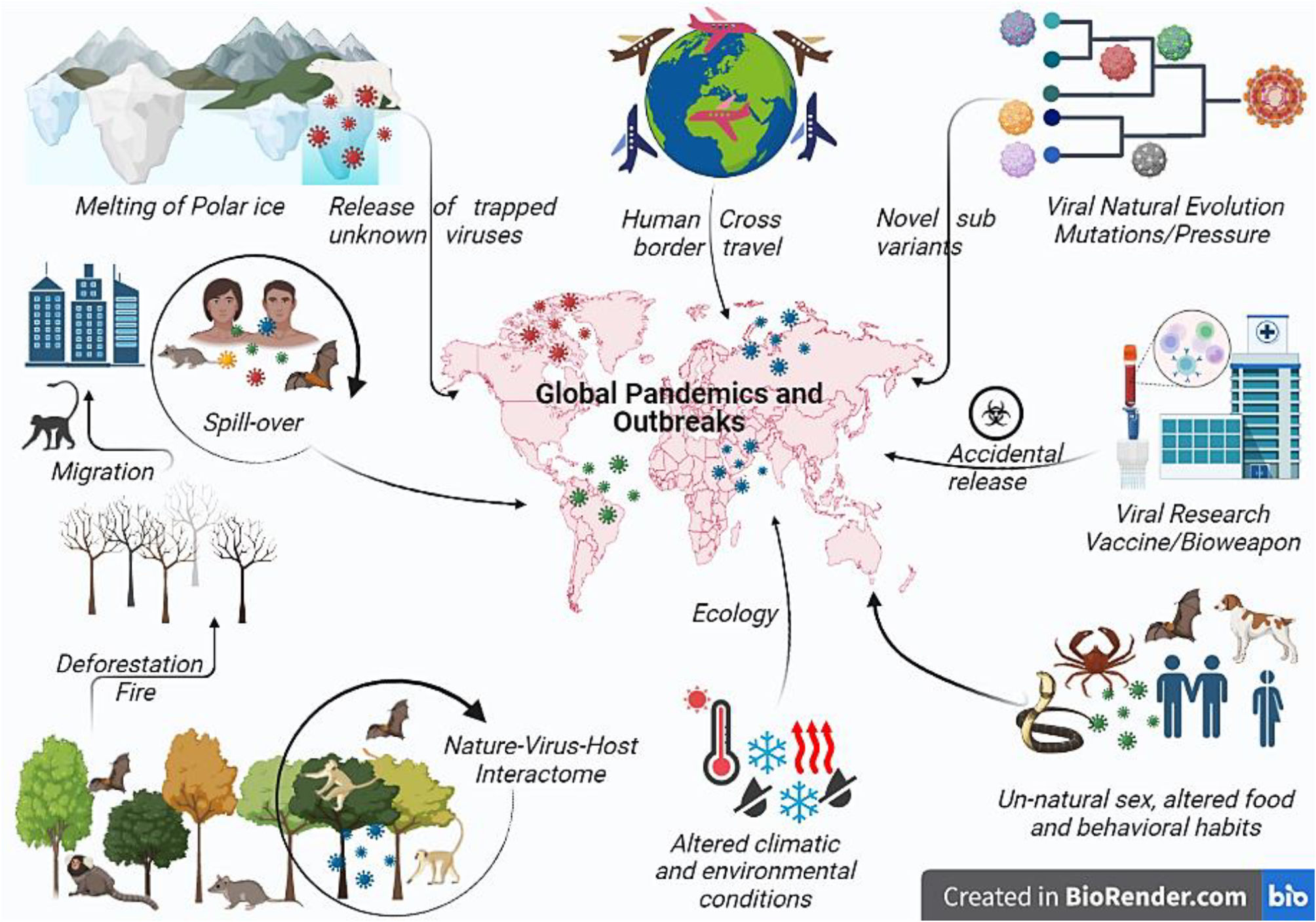 Habitat Of Virus