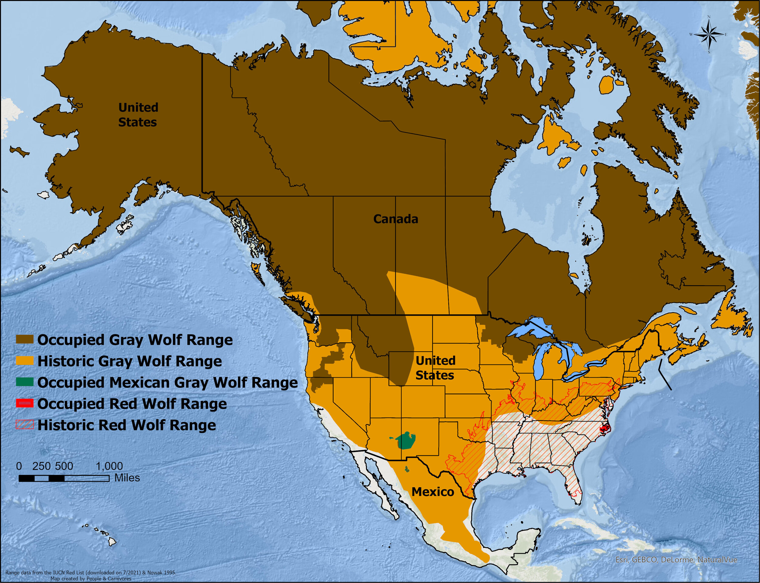 Habitat Of Wolf