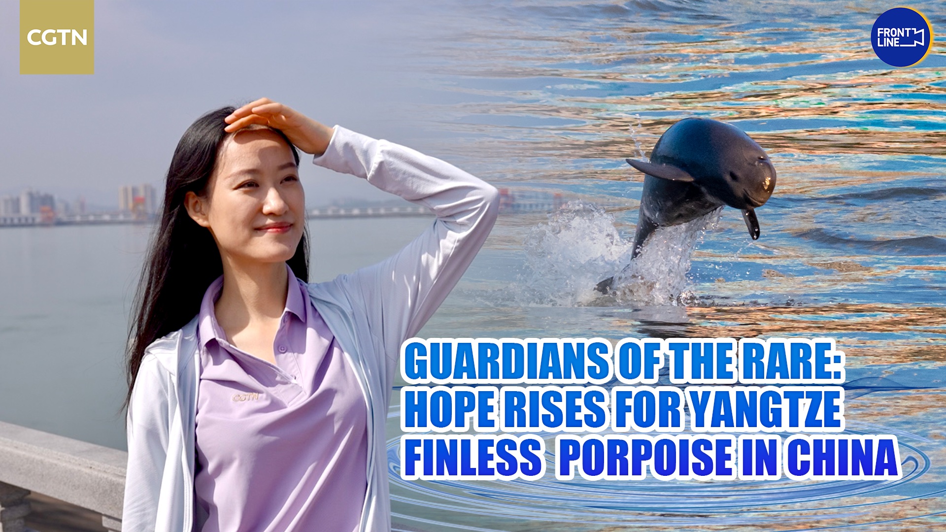 Habitat Of Yangtze Finless Porpoise