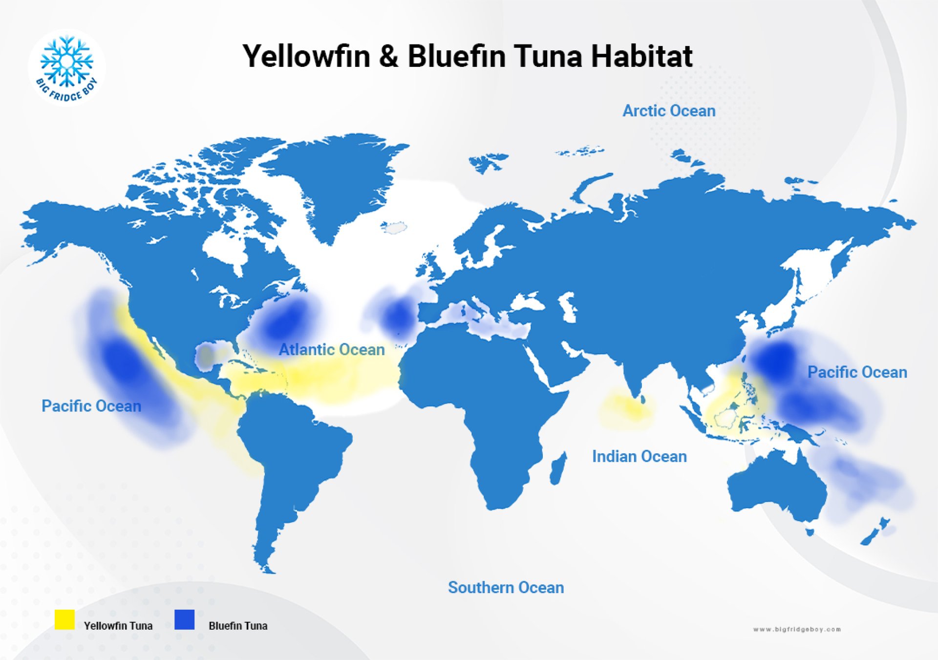 Habitat Of Yellowfin Tuna