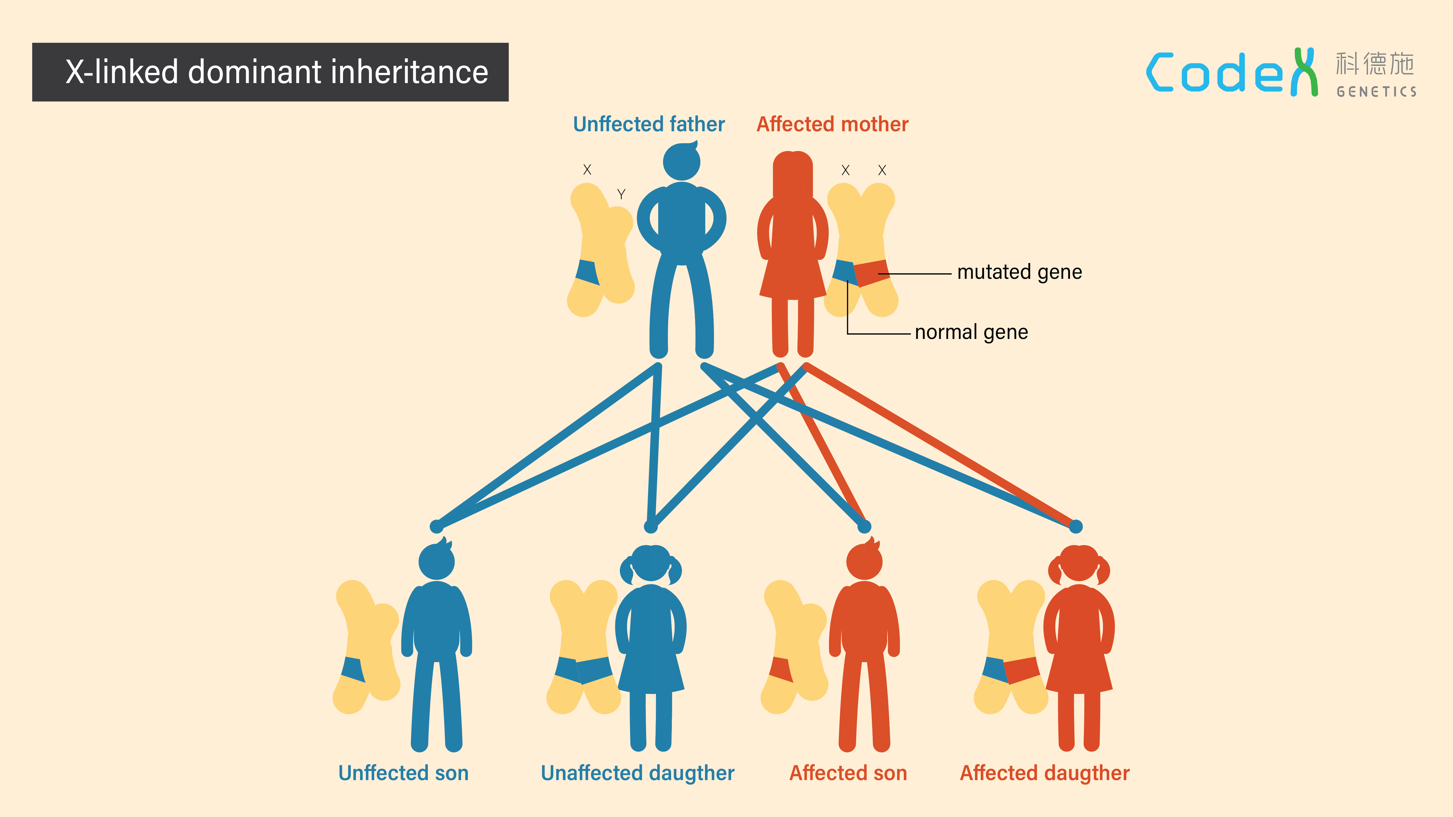 Hemophilia A Vs B