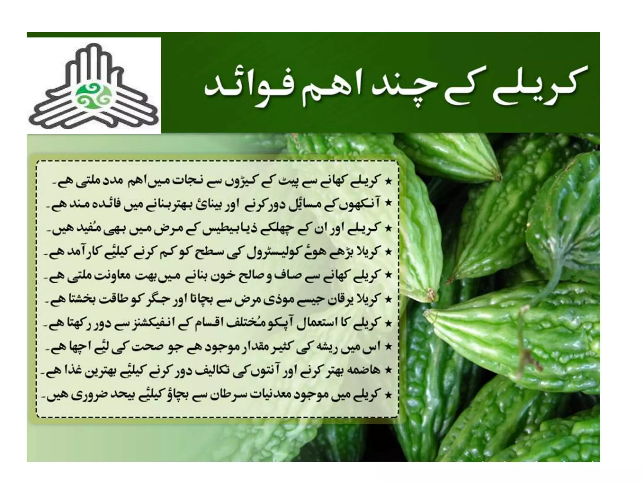 Herbal Medicine Uses In Urdu: A Practical Guide For Beginners