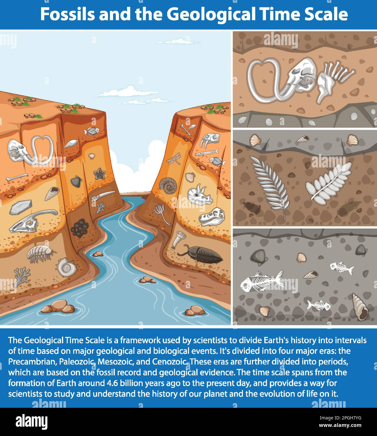 How Are Fossils Dated? The Science Behind Geological Time