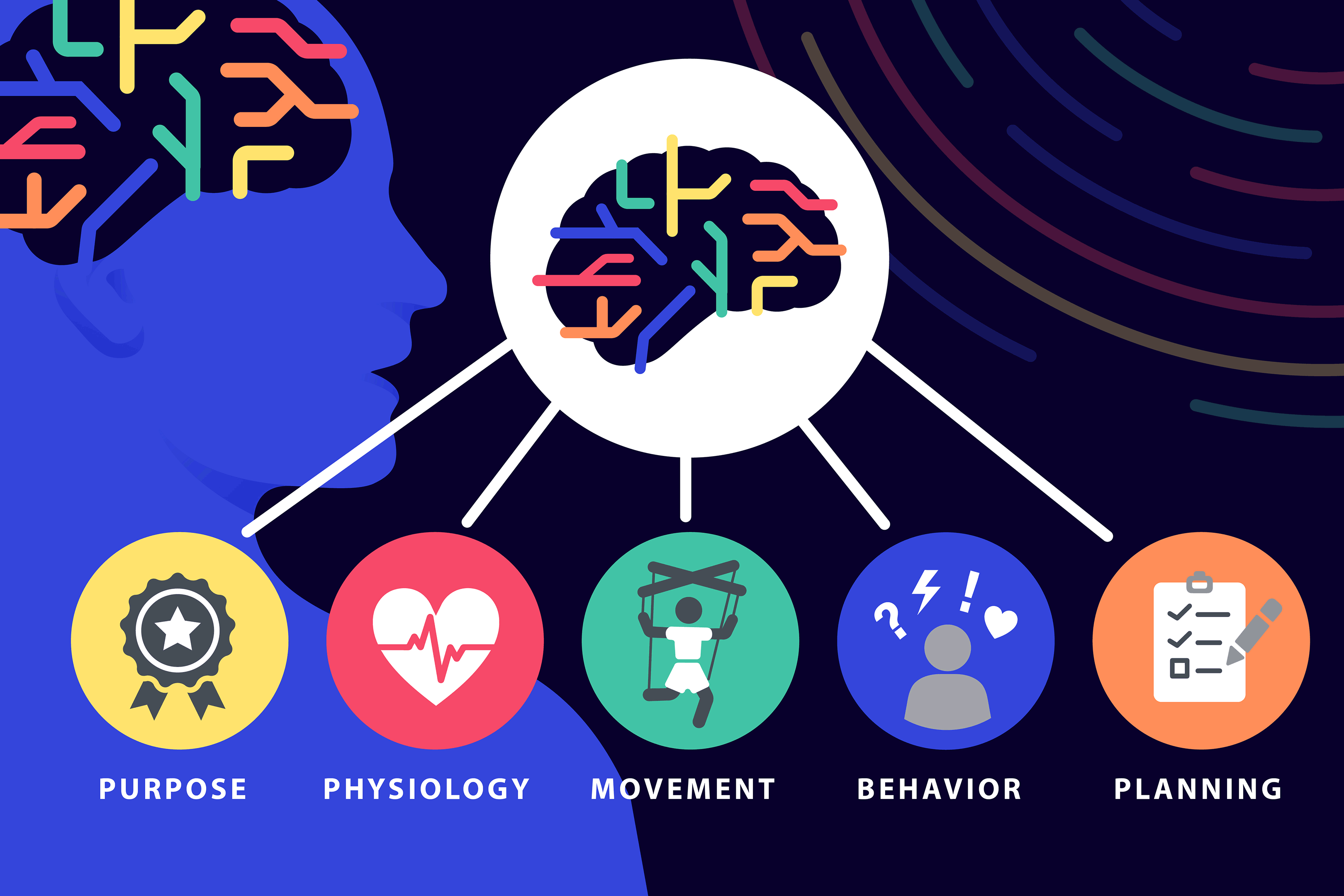 Fortress Of The Mind: How The Brain Is Protected In Our Body