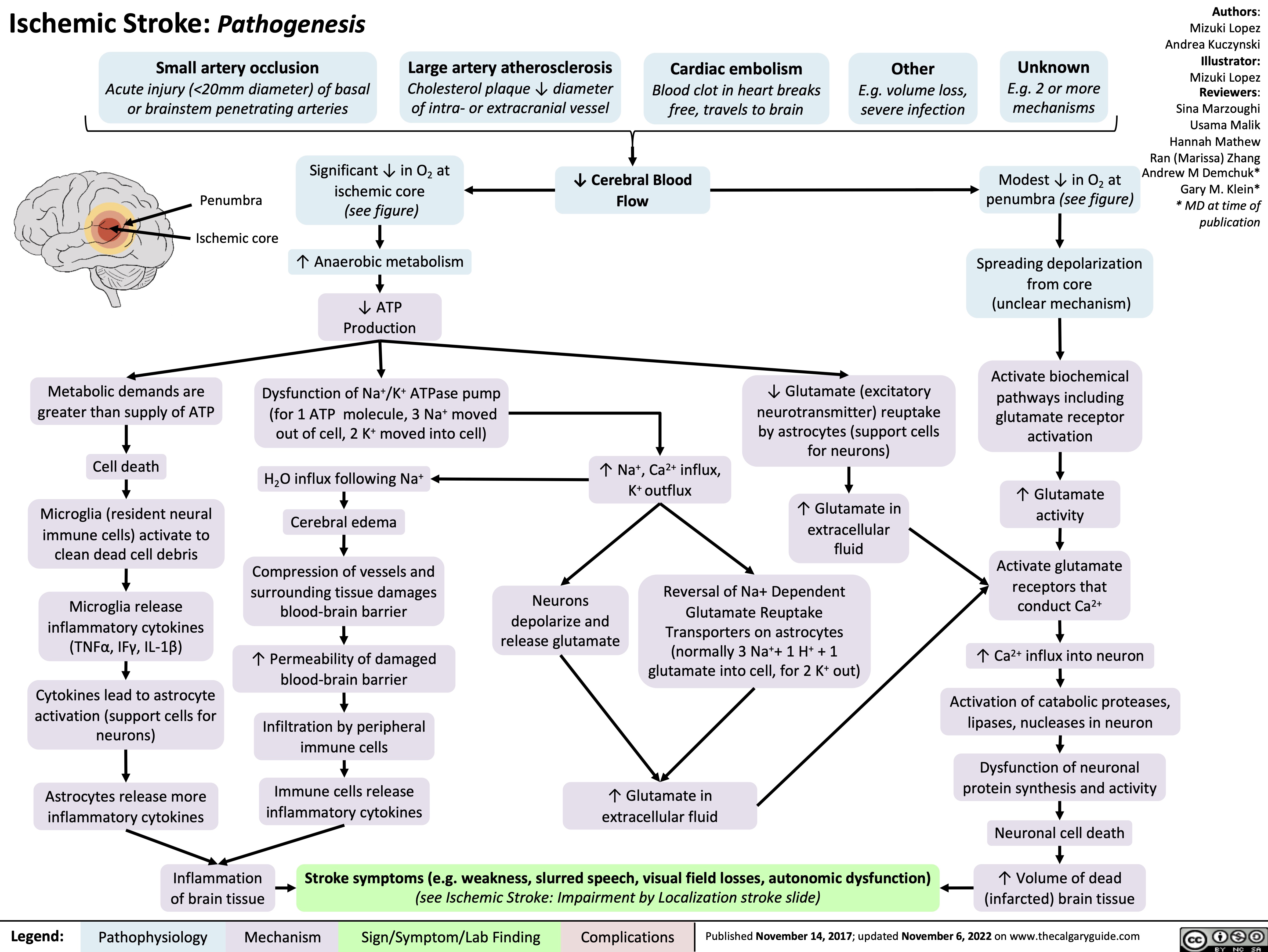 How Brain Stroke Can Be Cured: Modern Treatment Pathways