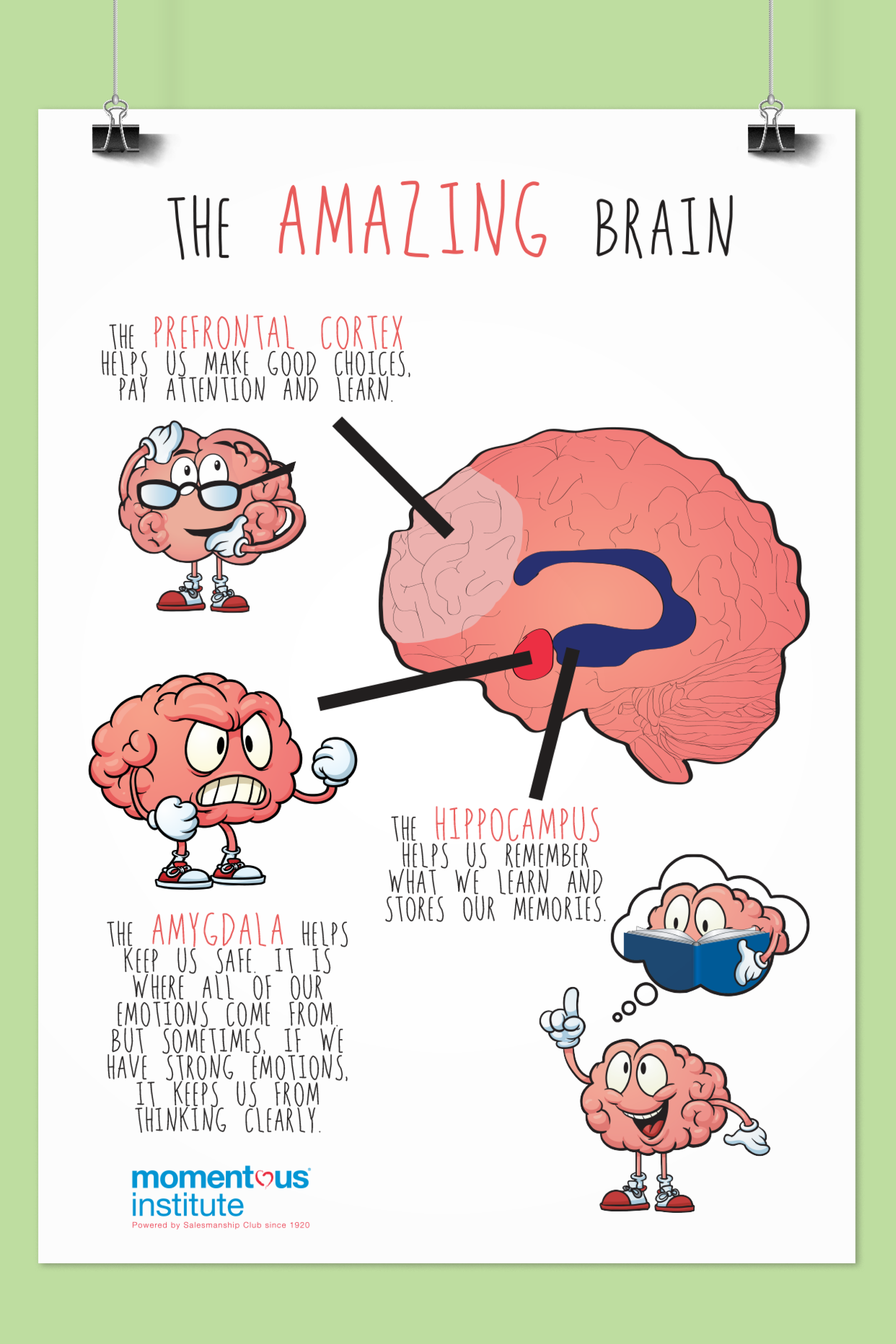 The Ultimate Guide To How The Brain Works Pdf