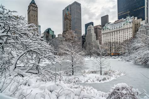 How Cold Is New York Right Now
