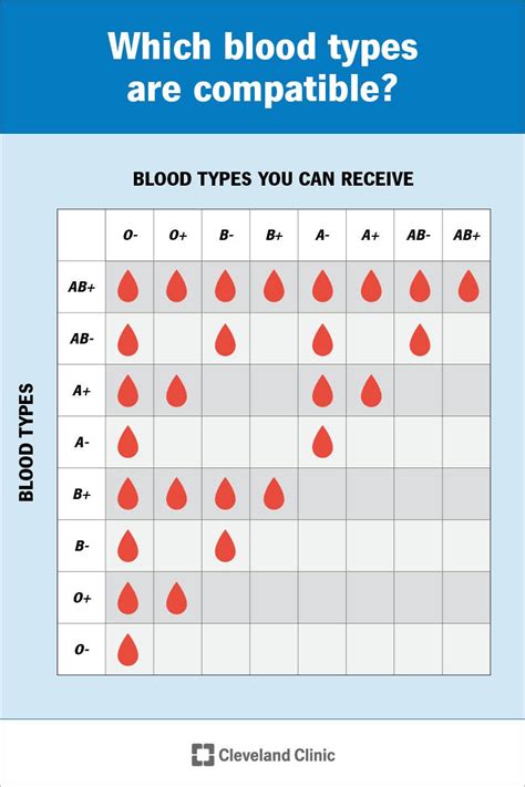 How Common Is Each Blood Type