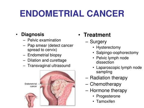 How Common Is Endometrial Cancer