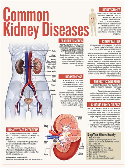 How Common Is Kidney Disease