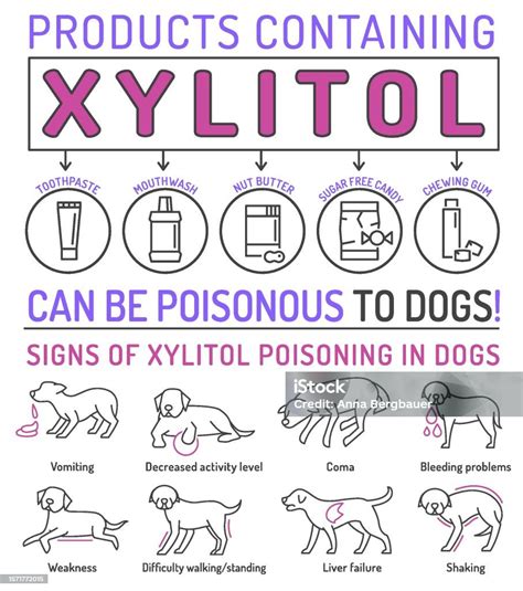 How Dangerous Is Xylitol For Cats