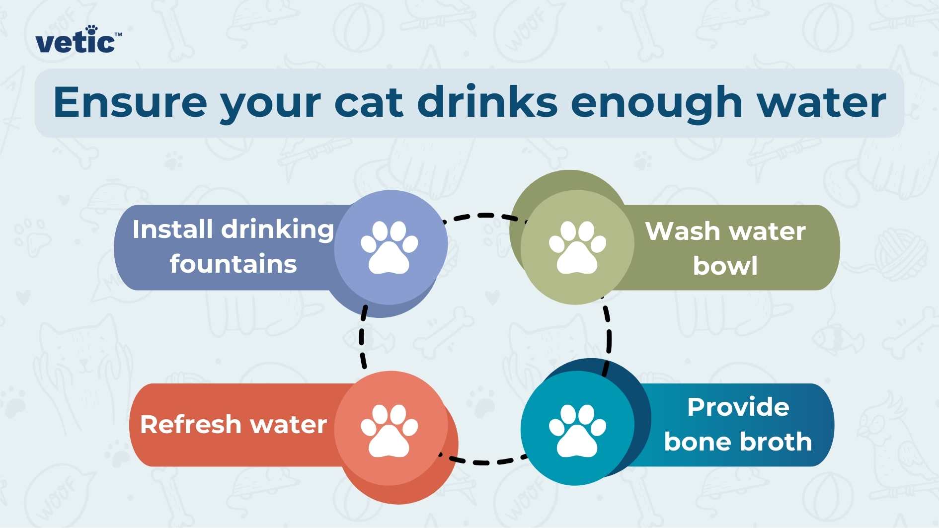 How Do Cats Drink With A Cone? Practical Tips For Pet Owners