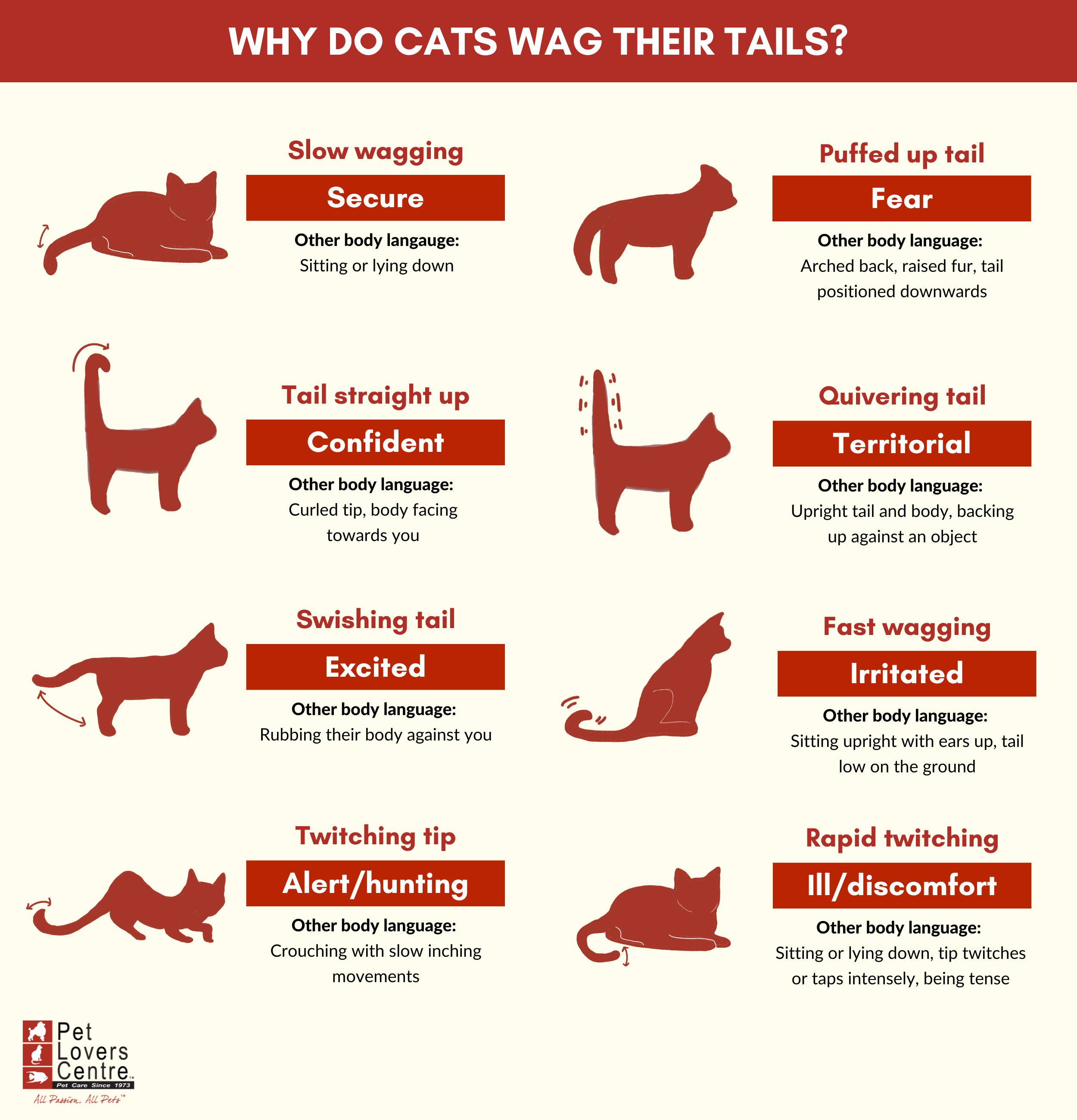 Beyond Balance: How Do Cats Use Their Tails To Communicate?