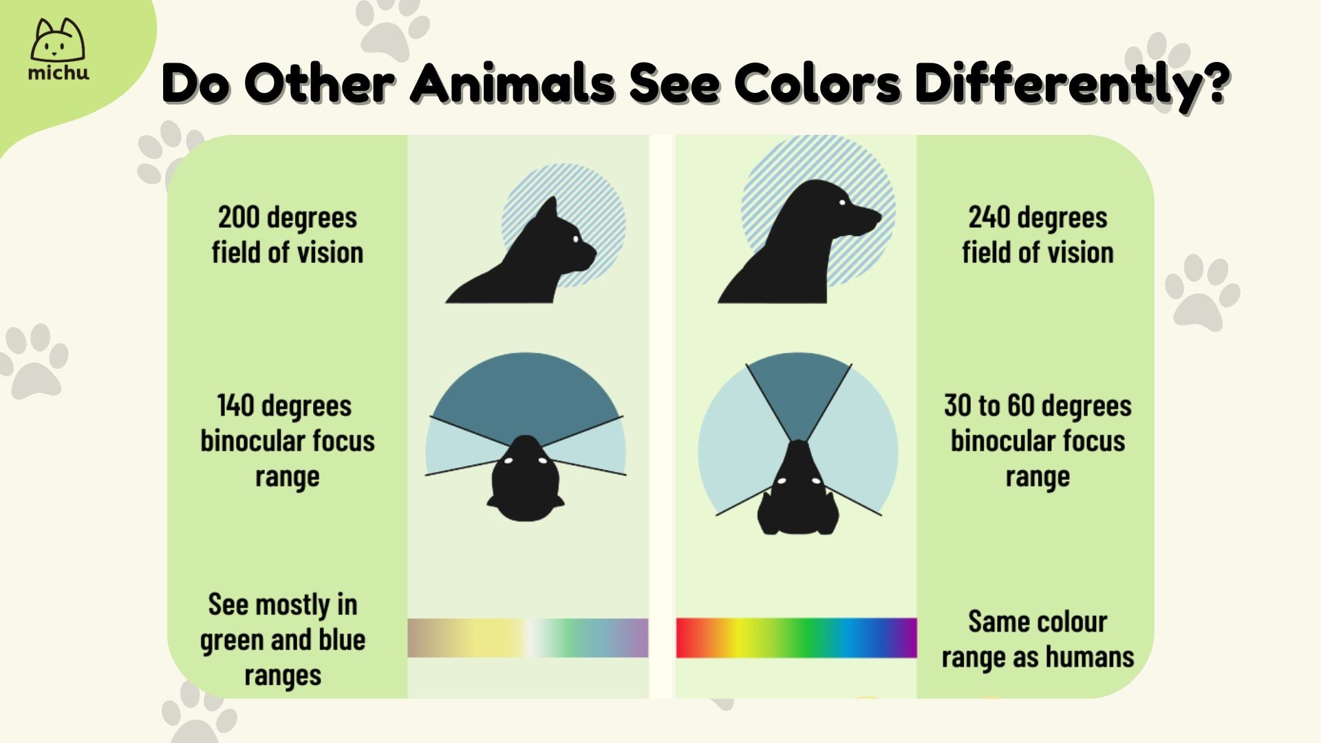 Beyond The Hiss: How Do Cats View Other Cats?