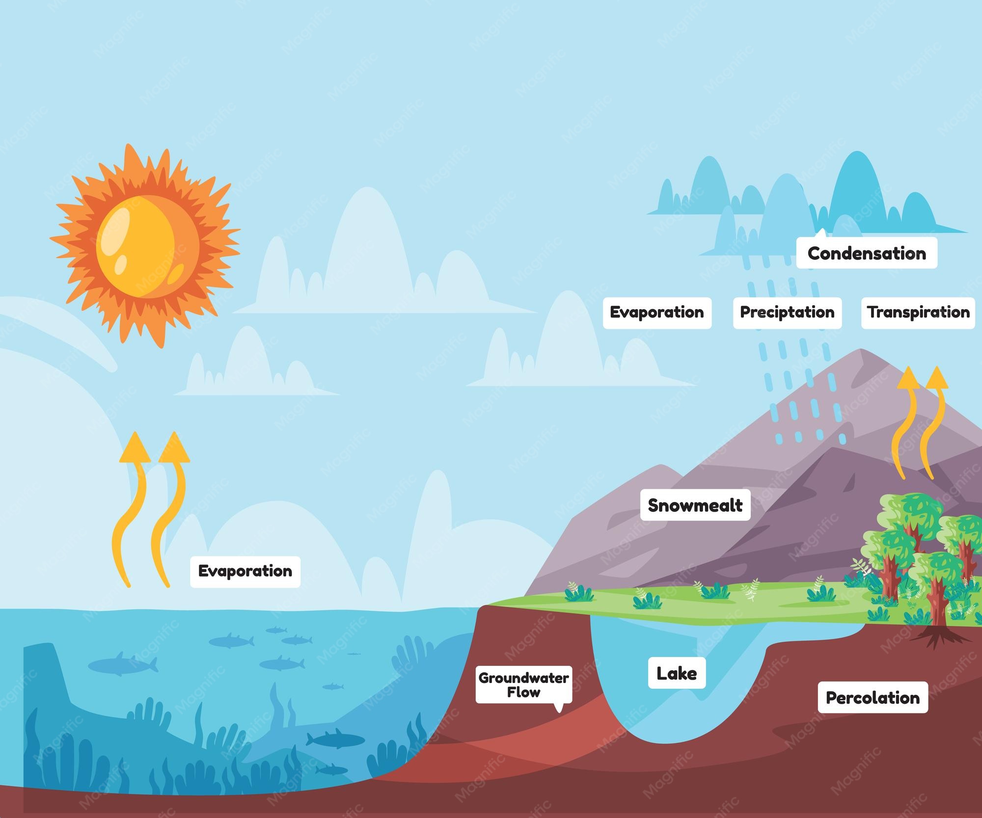 From Vapor To Downpour: How Do Clouds Turn Into Rain?