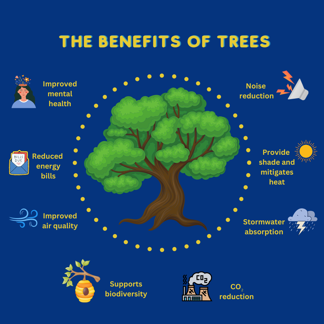 How Do Trees Impact The Environment? A Vital Guide For 2026