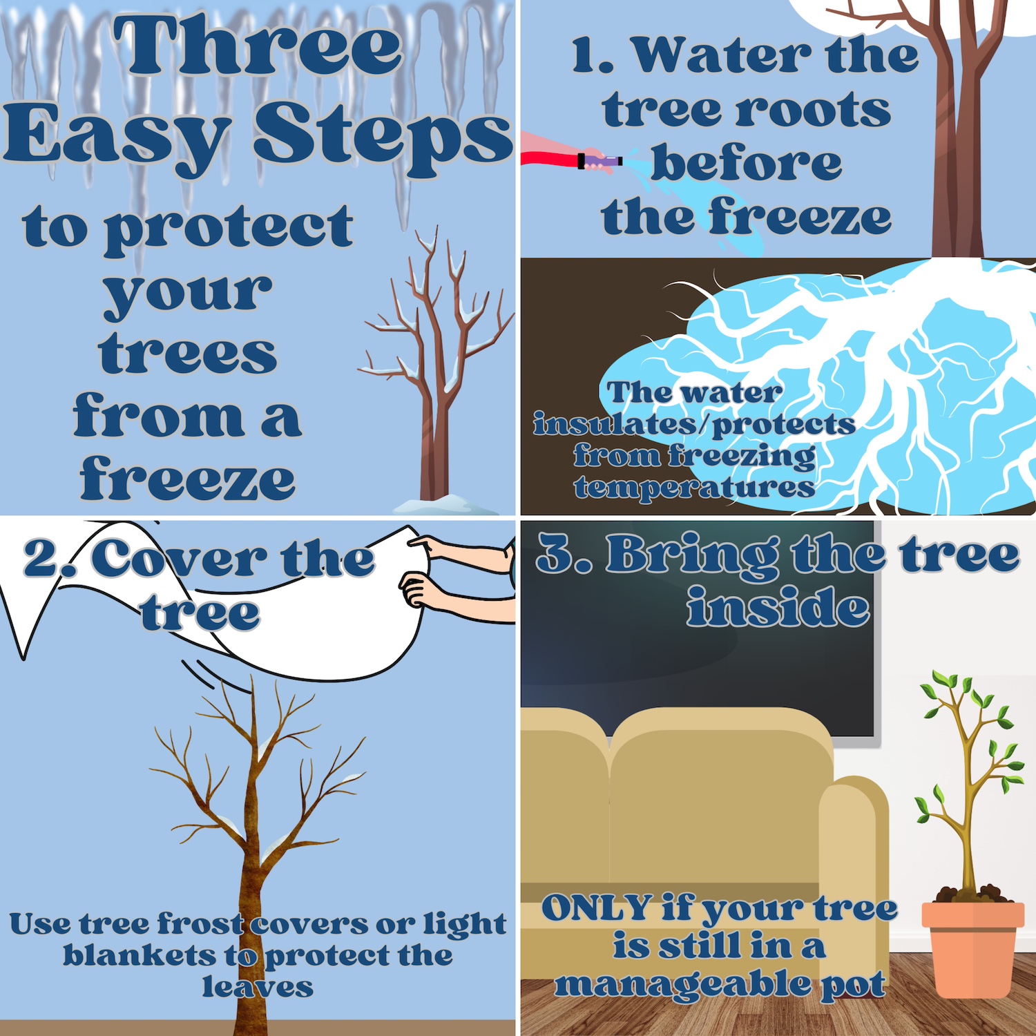 How Do Trees Not Freeze? The Science Of Winter Survival