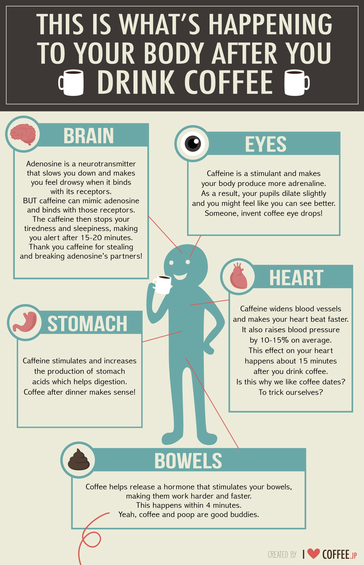 How Does Caffeine Affect Eyes And Your Vision Health?