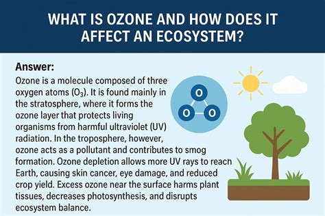 How Does It Affect Any Ecosystem Ozone