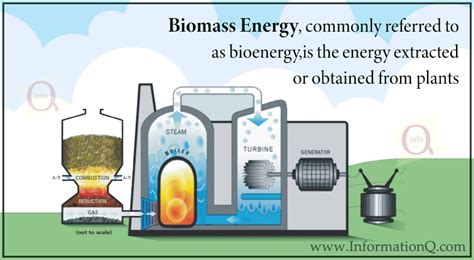 How Does It Work Biomass Energy