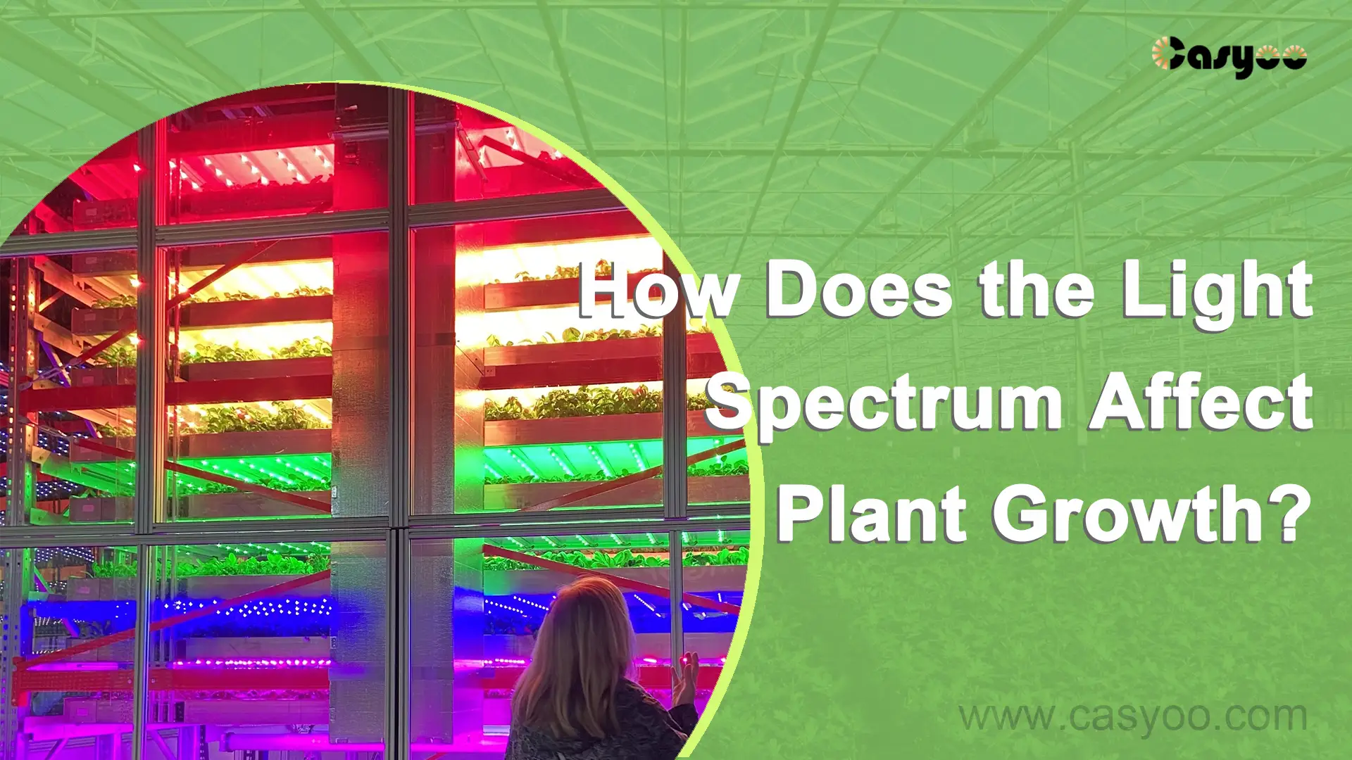 How Does Light Affect Organisms? The Essential Guide To Photobiology