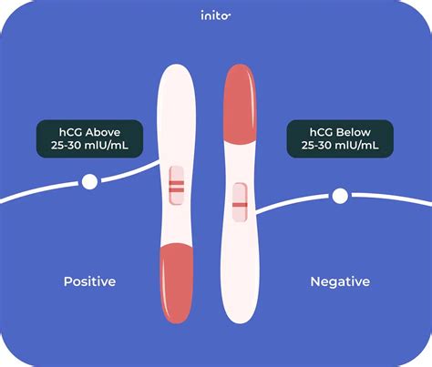 How Does Pregnancy Test Work