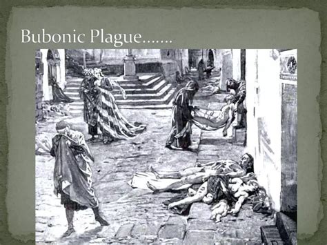 How Does The Writer Describe The Bubonic Plague