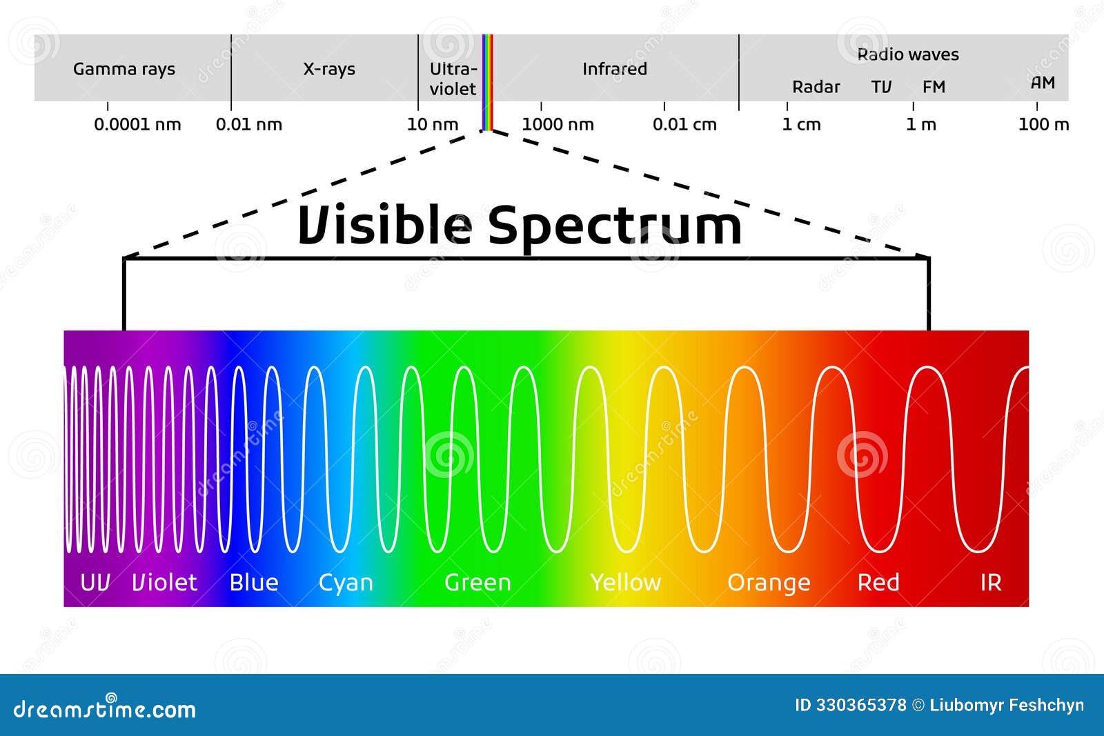 Beyond Vision: How Does Visible Light Affect Living Beings?