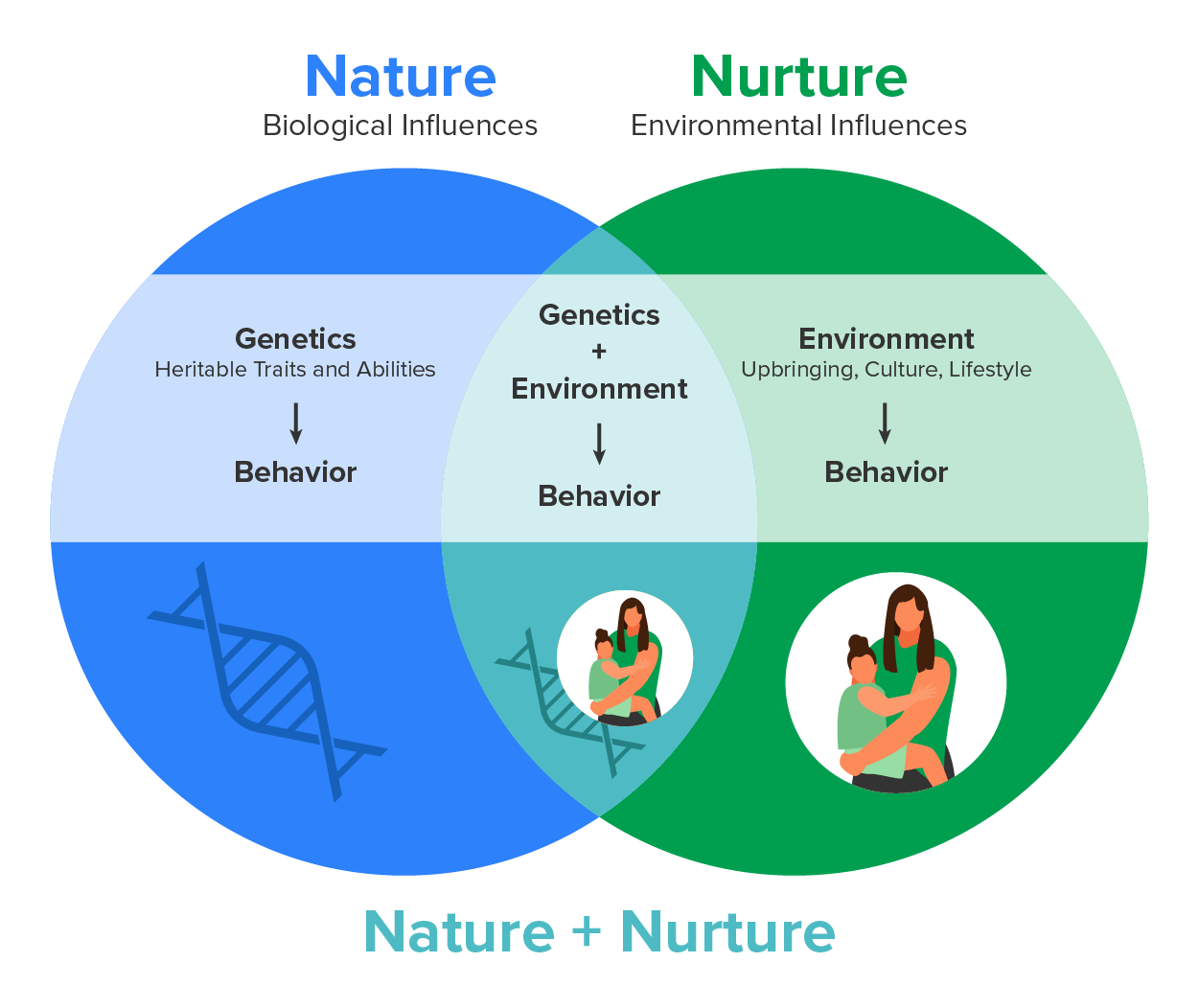 Beyond Genetics: How Environment Affects Personality