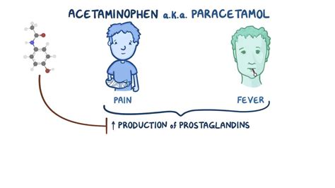 How Fast Does Paracetamol Work