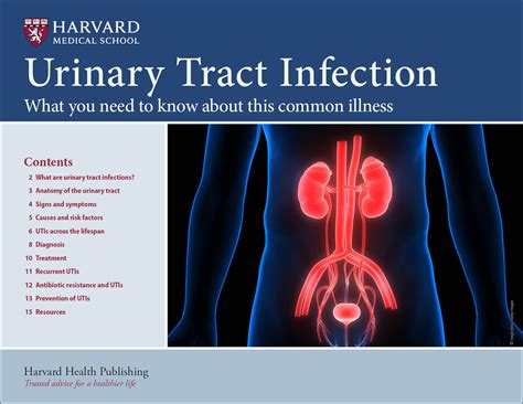 How Fast Does Uti Medicine Work