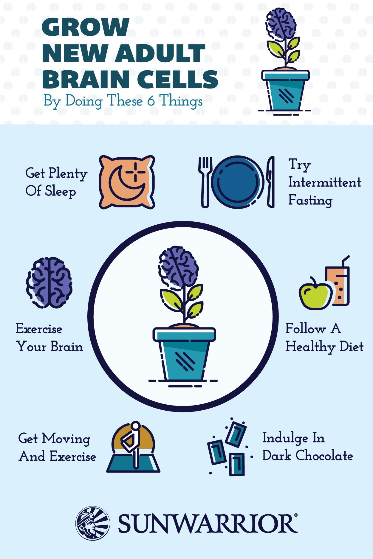 How To Grow Brain Cells: Proven Habits For Neurogenesis