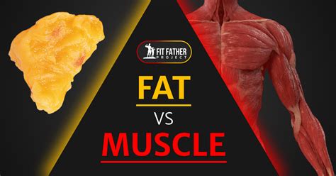 How Heavy Is Muscle Compared To Fat